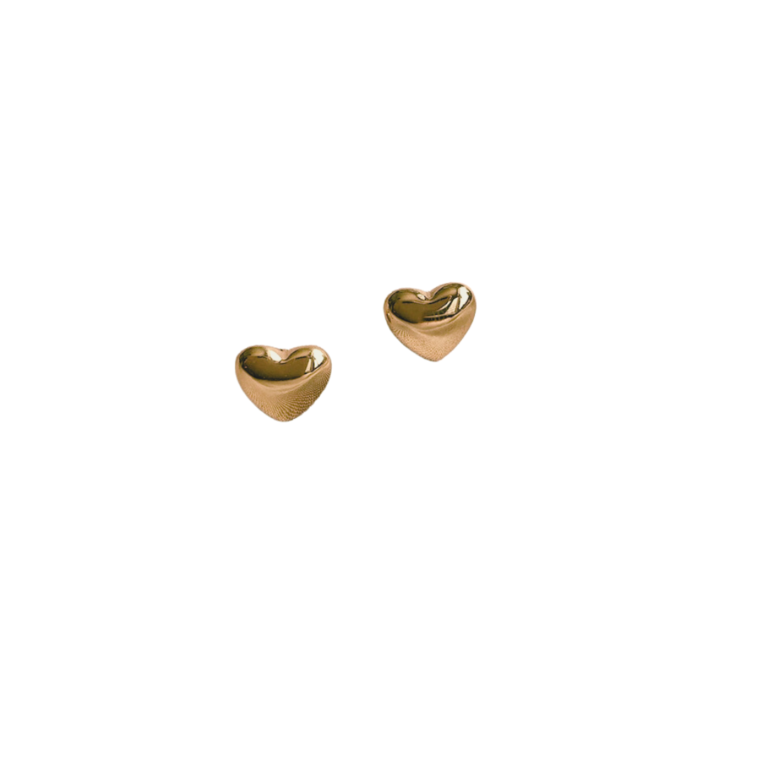 Chic Mila Heart Earrings