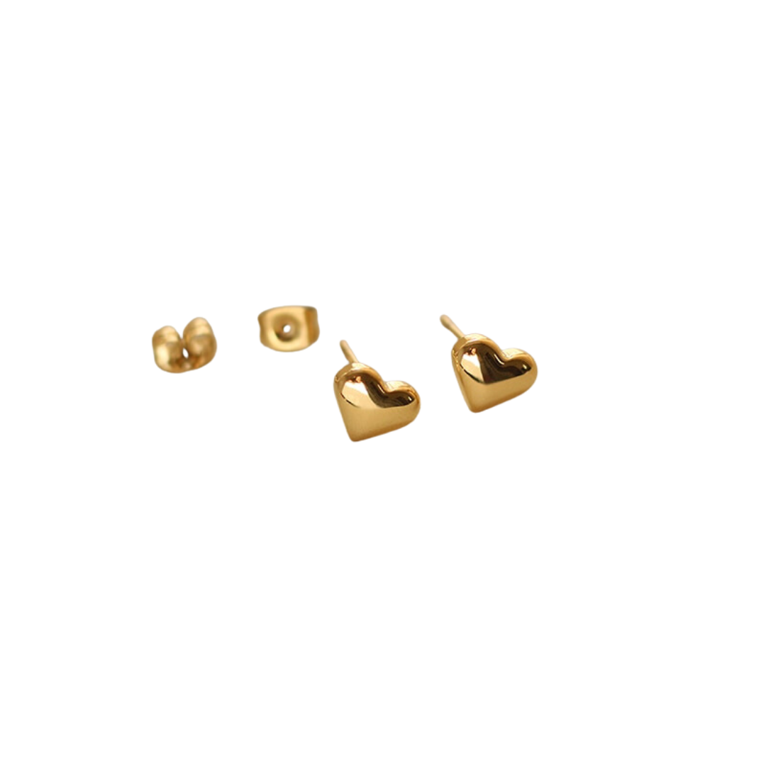Chic Mila Heart Earrings